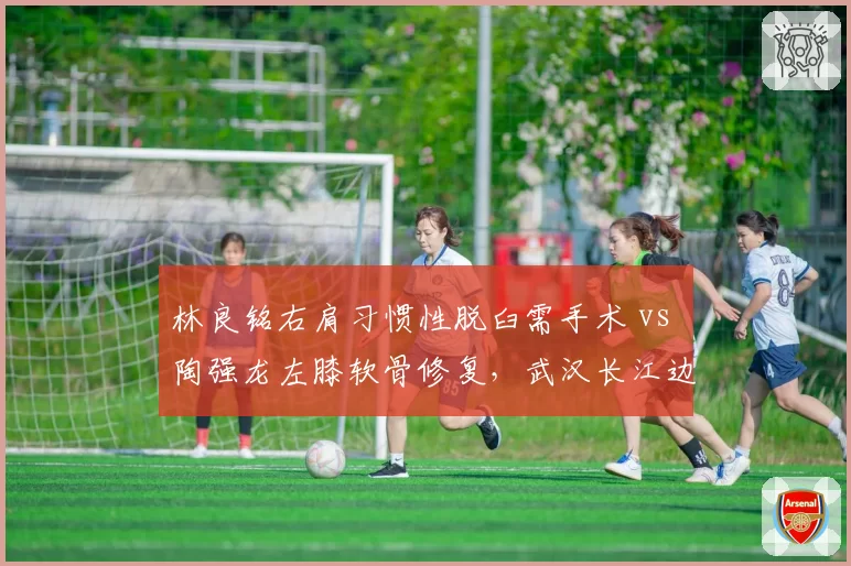林良铭右肩习惯性脱臼需手术 vs 陶强龙左膝软骨修复,武汉长江边锋12月可复出
