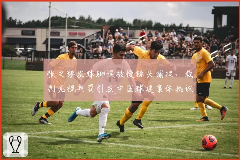 张之臻发球脚误被慢镜头捕捉，裁判无视判罚引发中国球迷集体抗议